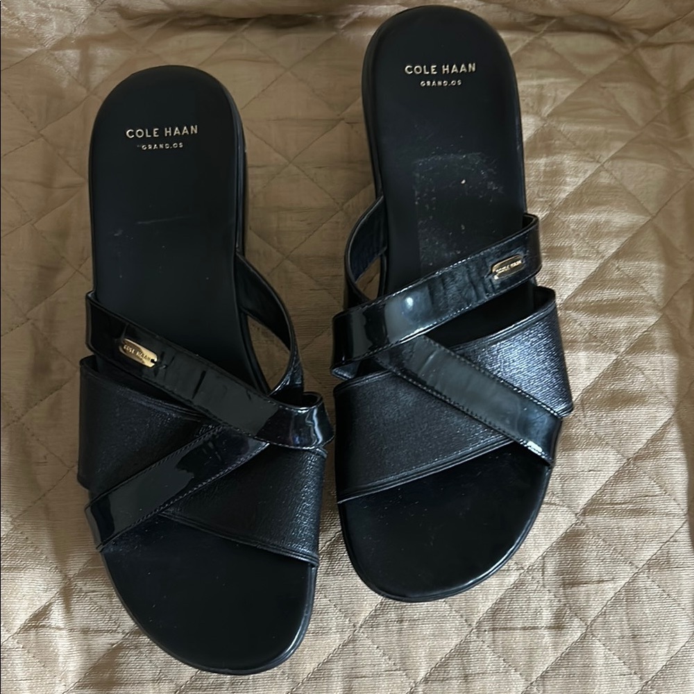 Cole Haan Women's Margate wedge sandals